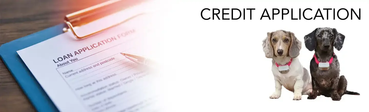credit application banner