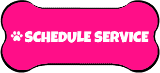 schedule service button